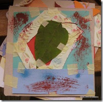 IMG_7954 IMG_7954