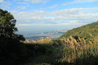 IMG_5124.JPG