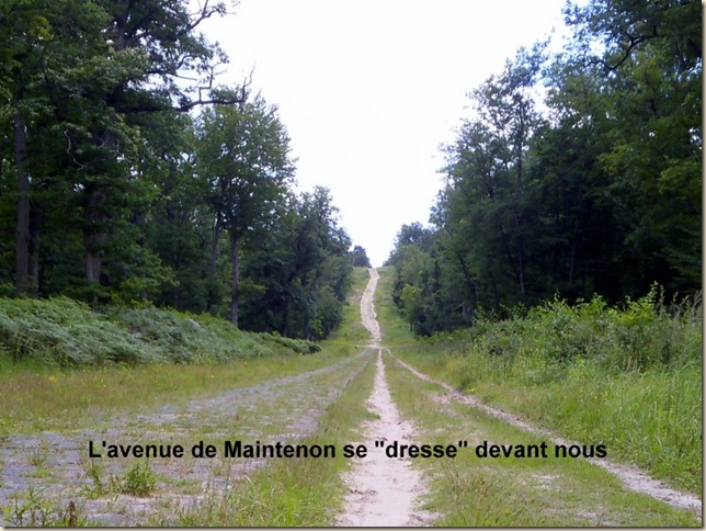 avenue de Maintenon-001 avenue de Maintenon-001