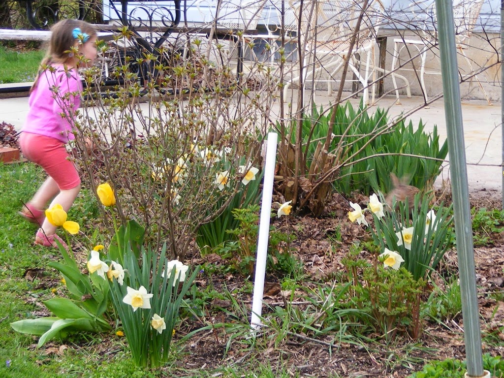 [DSCF2583%255B5%255D.jpg]