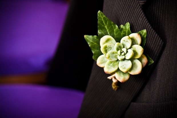 [0777-620x413-beautiful-blooms4.jpg]