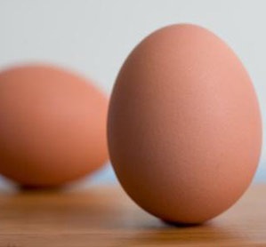 [huevos1%255B2%255D.jpg]