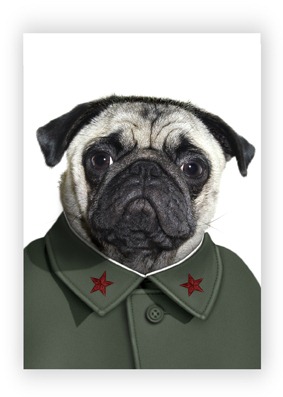 [Mao%2520web%2520card%255B3%255D.jpg]