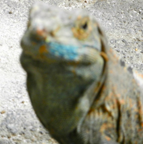 DSCN9865.jpg DSCN9865