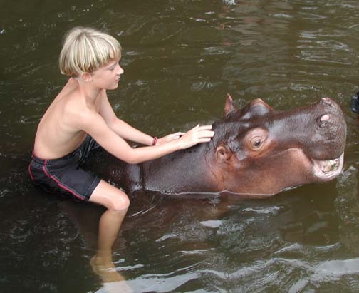 [swimming-with-hippo-015.jpg]
