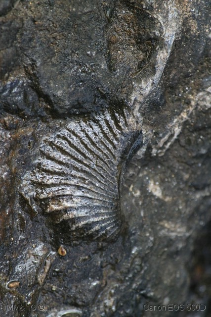 [IMG_6260%255B10%255D.jpg]