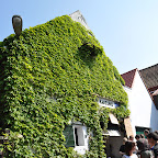 DSC_3645.jpg