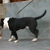 IMG_7736.JPG
