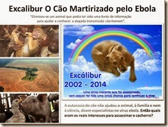 excalibur-o-cao-martirizado-ebola_thumb[1]