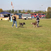 IMG_3079.JPG
