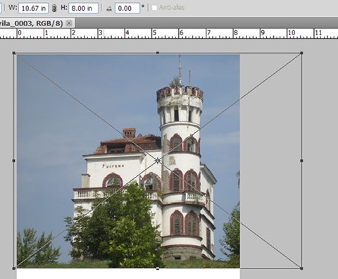 photoshop_placed_image_without_camera_raw_settings photoshop_placed_image_without_camera_raw_settings