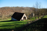 DSC_3381.JPG Photo