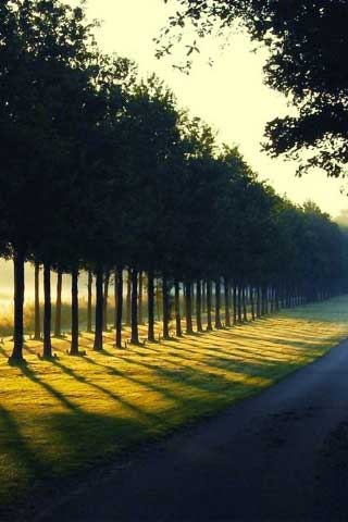 50-Amazing-Sceneries-Wallpapers-for-iPhone-4S_36 50-Amazing-Sceneries-Wallpapers-for-iPhone-4S_36
