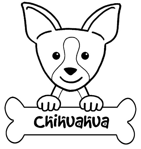 PERROS CHIHUAHUA PARA PINTAR