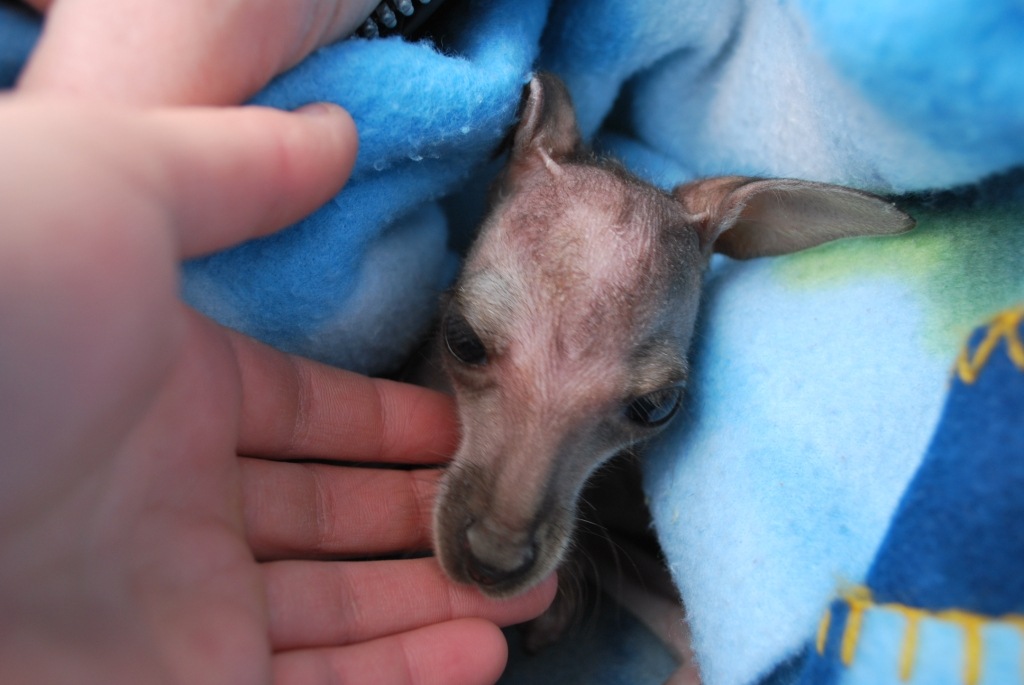 [DSC_0015%255B5%255D.jpg]