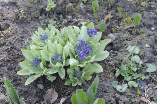 [claus20120327_121558%255B4%255D.jpg]