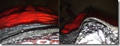 0015243-horz 0015243-horz