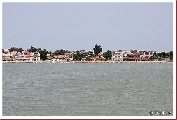 IMG_0479 IMG_0479