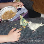 May 5-11 Frosted Flake tug of war.JPG