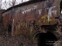 dsc06147.jpg