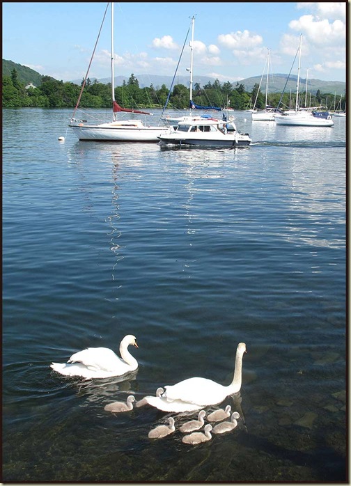 Windermere on a summer's morning