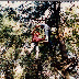 Adventure Centre History - 062.jpg