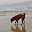 DSC_0157.jpg