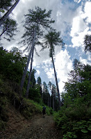 01.jpg Photo