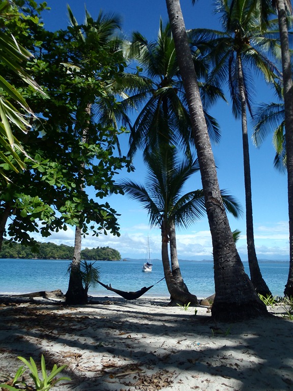 [PB2300587.jpg]