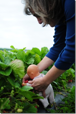 Strawberry Picking & Marcus band 101