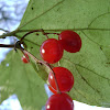 dsc05873.jpg