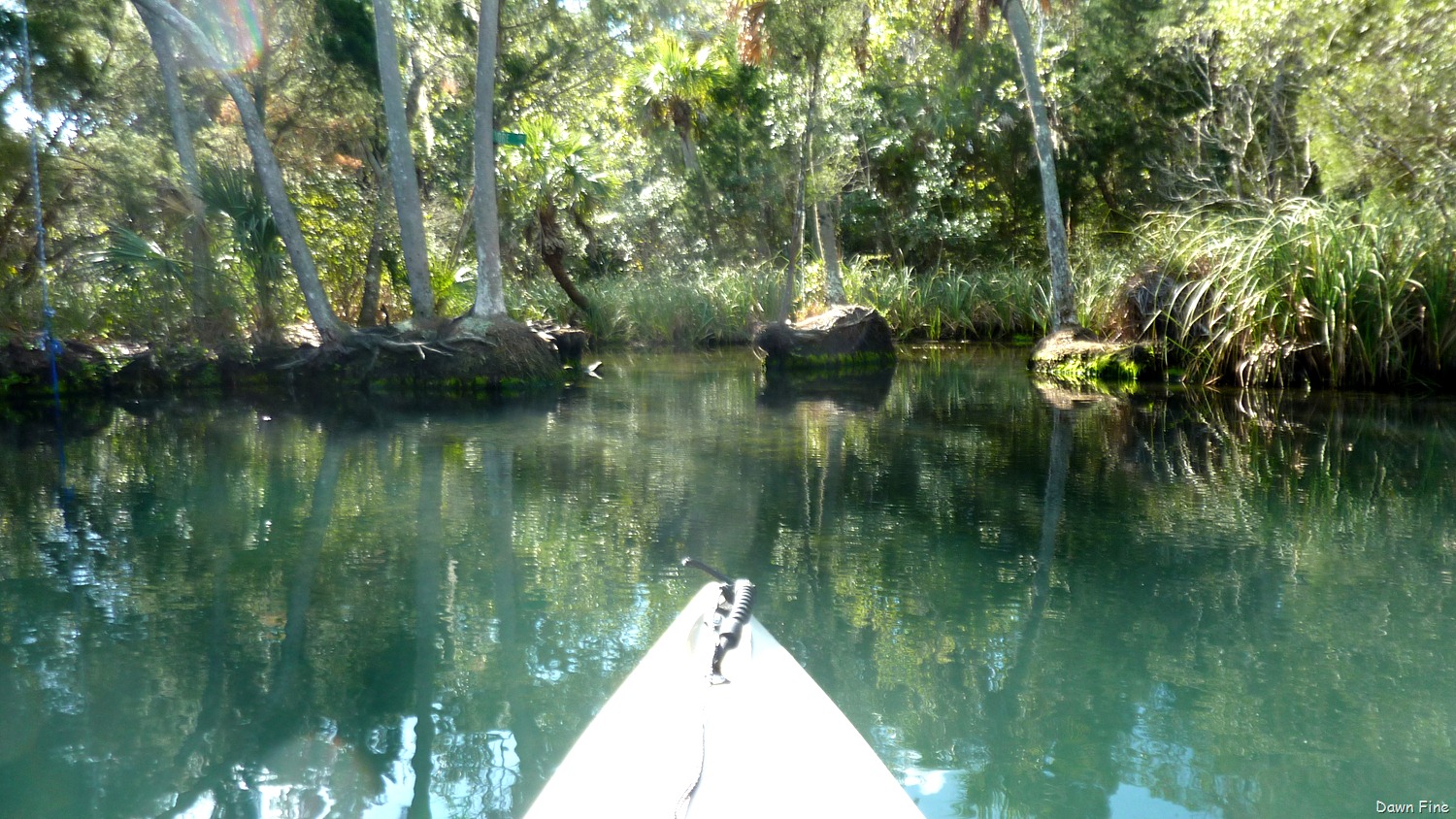 [Chassahowitza-River-canoeing_04511.jpg]