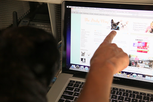 We MUST set our blog, The Daily Wag, as his homepage.  That way, Shaun will be certain to read it every single day!  Right, Shaun?