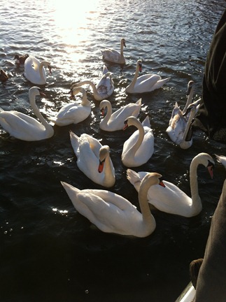 [IMG_60514.jpg]