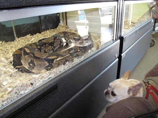 Oh Franny - take a look at this snake!