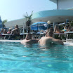 SAM_0226.JPG