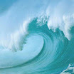 ocean (11).jpg