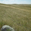 SDC10940.JPG