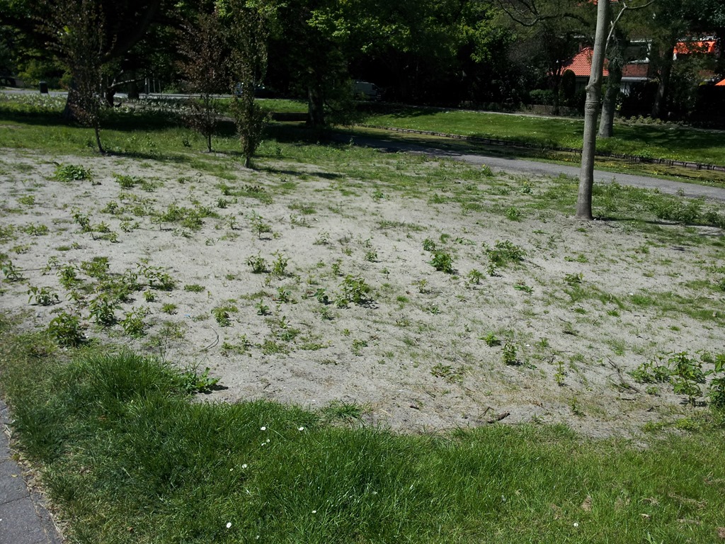 [20130604_132627%255B5%255D.jpg]