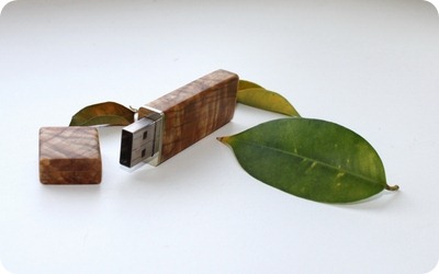 Wood USB flash drive 1 Wood USB flash drive 1