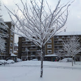 DSC00318.JPG