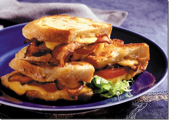 grilled-cheese-food-pron-10