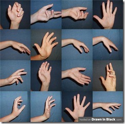 WindsweptSummer-Left-Hand-Reference