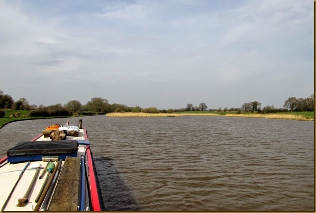 IMG_4125 IMG_4125