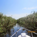IMG_5725.JPG