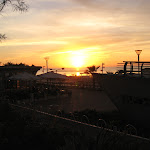 IMG_3377.JPG