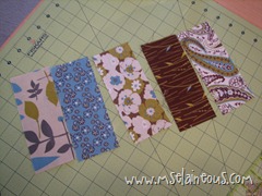 IMG_6470 IMG_6470