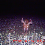 MDGC0251.JPG