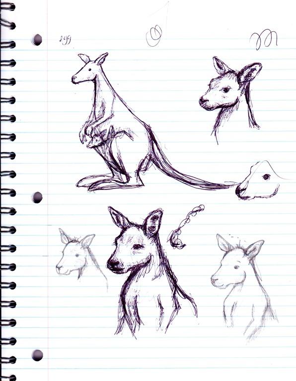 [kangaroo-sketch%255B4%255D.jpg]
