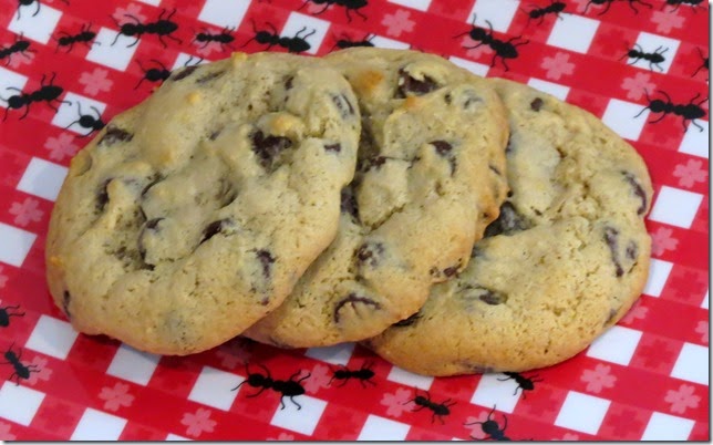 Old Fashioned Chocolate Chip Cookies